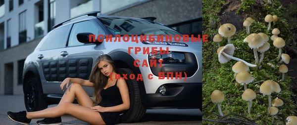 индика Алзамай