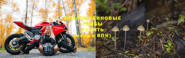 спайс Абаза