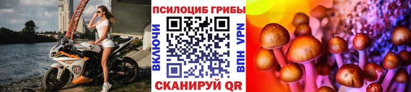 Галлюциногенные грибы Magic Shrooms Сергач
